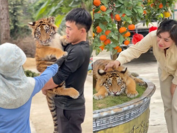 idol-moi-noi-goi-ten-ngao-la-chua-son-lam-nhung-ve-ngoai-nung-niu-chien-than-ngoai-giao-hut-khach-du-lich-ve-nghe-an