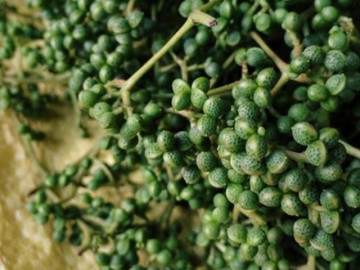 loai-qua-xua-chin-rung-day-khong-ai-ngo-ngang-nay-thanh-dac-san-nguoi-thanh-pho-ua-chuong-vi-co-huong-vi-la-300-000-dong-kg