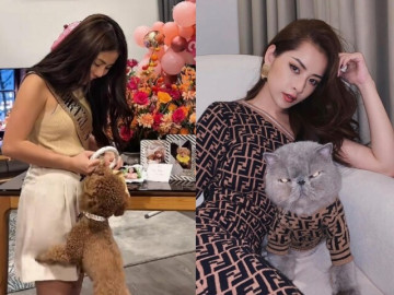 tieu-tien-khong-tiec-tay-cho-thu-cung-nguoi-bo-50-trieu-dong-to-chuc-sinh-nhat-nguoi-cho-bay-hang-thuong-gia-mac-toan-do-hieu-dat-do