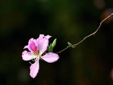 3-thoi-quen-vang-giup-mot-nguoi-ngay-cang-giau-co