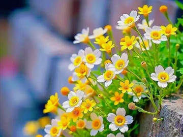ban-linh-cua-nguoi-phu-nu-thong-minh-goi-gon-trong-6-chu-khi-doi-dai-voi-dan-ong