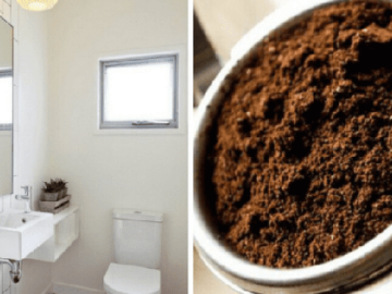 cach-khu-mui-hoi-trong-nha-ve-sinh-don-gian-hieu-qua