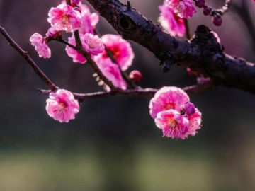 nguoi-song-nhu-nay-thuc-su-khon-ngoan-va-co-tam-nhin-xa