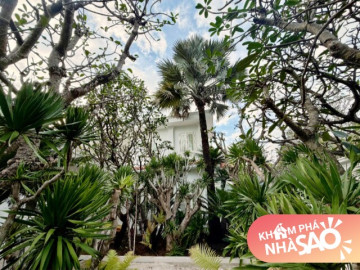 ntk-do-manh-cuong-dua-ca-rung-cay-vao-biet-thu-2-000m2-khu-vuon-trong-nhu-da-lat-thu-nho-ton-den-tien-ty