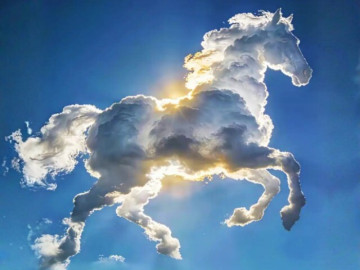 trac-nghiem-tam-ly-dau-la-diem-tua-vung-chac-nhat-cua-ban-khi-ve-gia