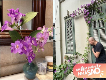 can-biet-thu-day-hoa-tim-mong-mo-cua-nam-nsut-dung-sau-su-lung-linh-cua-tao-quan-nhieu-nam-qua