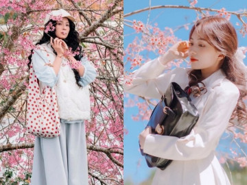 da-lat-ngap-tran-mau-hong-cua-hoa-mai-anh-dao-goi-y-cho-hoi-me-song-ao-3-dia-diem-check-in-dang-cuc-hot