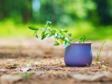 nguoi-mang-lai-cho-ban-3-cam-giac-nay-som-roi-xa-chinh-la-khon-ngoan-nhat