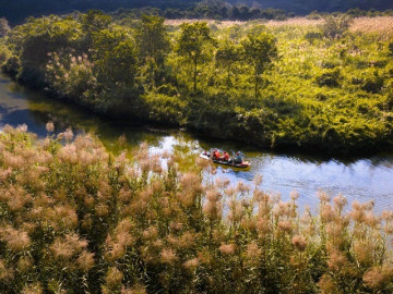trang-an-say-dam-long-nguoi-mua-lau-say-tro-bong