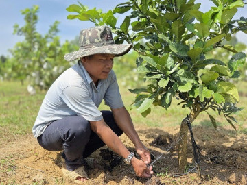 bien-dat-soi-da-thanh-vung-qua-ngot-nong-dan-hre-cung-nhau-thoat-ngheo