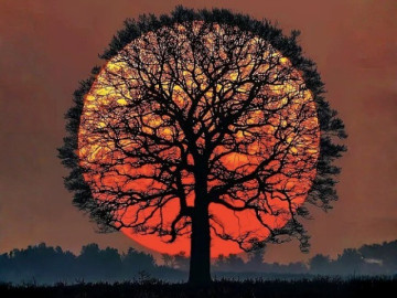 trac-nghiem-tam-ly-mot-anh-nhin-thau-suot-hau-van-cuoc-doi-ban-se-vien-man-nhu-y