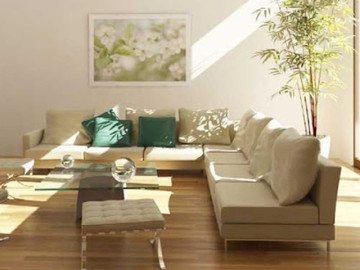 cach-tang-duong-khi-trong-nha-bao-ve-suc-khoe-don-ruoc-tai-loc