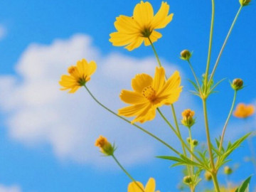 so-huu-3-dac-diem-nay-9-phan-10-la-nguoi-may-man