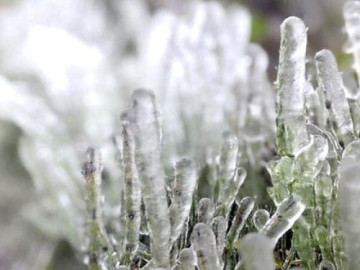 bang-gia-phu-trang-dinh-phia-oac-o-cao-bang