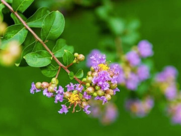 cach-tra-thu-khon-ngoan-nhat-doi-voi-mot-nguoi-chi-goi-gon-trong-2-chu