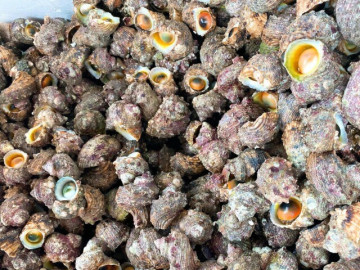 dac-san-co-ten-doc-la-xua-khong-ai-an-nay-thanh-mon-ngon-noi-tieng-khap-vung-80-000-dong-kg