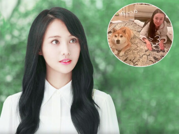 khong-nhan-ra-nhan-sac-nu-than-thanh-xuan-mot-thoi-guong-mat-cung-do-voi-doi-moi-ech-ky-la