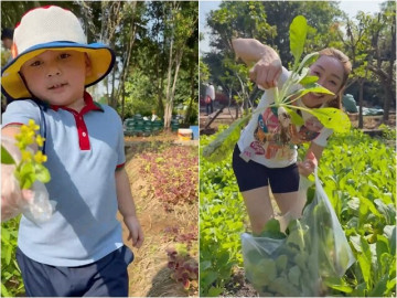 khu-vuon-xanh-muot-mat-nha-chi-bao-va-vo-tre-nhin-ma-me-chu-tich-nhi-khoai-chi-cung-me-thu-hoach