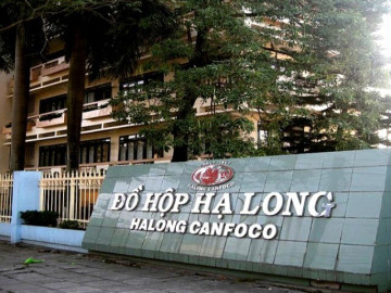 vu-hon-120-tan-thit-ta-heo-chau-phi-tuon-vao-nha-may-trieu-tap-lanh-dao-cong-ty-cp-do-hop-ha-long