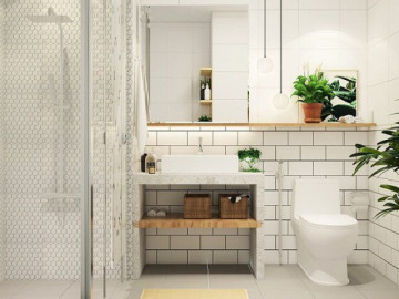 6-loai-cay-canh-trong-trong-nha-ve-sinh-vua-dep-vua-hut-khi-xau-va-vi-tri-khong-nen-dat-de-dem-lai-truong-khi-phong-thuy-tot