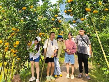 cach-tp-hcm-3-tieng-chay-xe-co-mot-vuong-quoc-quyt-hong-khach-du-lich-thich-me-ghe-check-in-moi-ngay