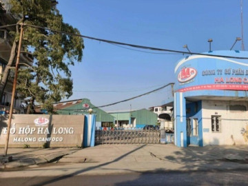 bat-khan-cap-tong-giam-doc-cong-ty-co-phan-do-hop-ha-long