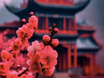 nguoi-noi-tam-manh-me-co-3-dieu-khong-quan-cang-buong-bo-van-menh-cang-tot-dep