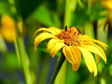 4-kieu-nguoi-thuong-mang-lai-van-rui-quan-he-tot-den-may-cung-dung-ket-than