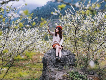 lich-trinh-ba-ngay-kham-pha-moc-chau-dip-tet-nguyen-dan