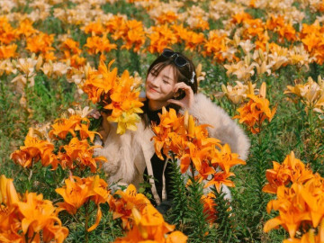 rung-phong-huong-gan-ngoi-chua-co-o-hai-phong-hut-khach-check-in-mua-thay-la