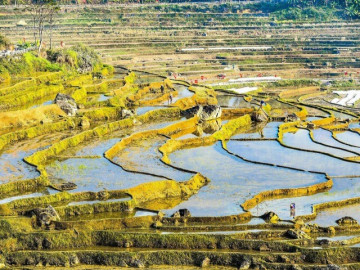 ve-dep-ruong-bac-thang-pu-luong-mua-nuoc-do