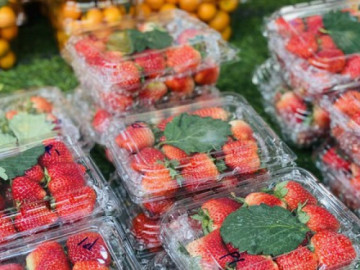 loai-qua-truoc-day-chi-nha-giau-moi-dam-an-gio-ban-day-via-he-gia-re-kho-tin