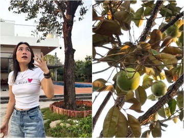 my-tam-review-vu-sua-trong-biet-phu-vui-xiu-len-xiu-xuong-vi-cay-ra-trai-da-doi-sau-4-nam-cho-doi