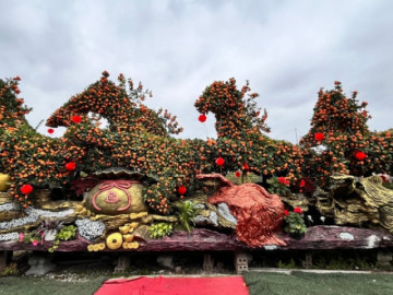 dinh-cao-sieu-pham-tet-2026-goi-ten-chien-ma-quyt-co-doc-la-ma-dao-thanh-cong-buoi-song-thu-tram-tuoi-gia-nua-ty-dong