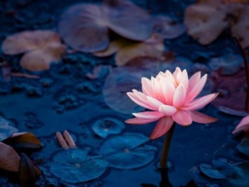 khi-tro-chuyen-voi-nguoi-khac-bot-noi-3-dieu-nay-phuc-khi-se-ngay-cang-day-sau