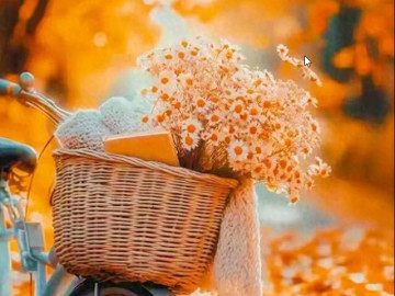 20-viec-nho-giup-van-khi-cua-ban-ngay-cang-hung-vuong