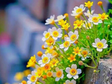 ban-cang-thu-gian-ket-qua-cang-tot-dep