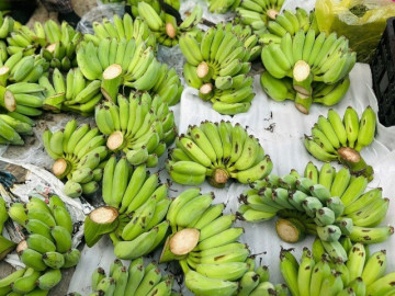 chay-hang-chuoi-xanh-loc-tai-700-000-nai