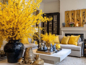 6-cay-canh-chua-vang-nguoi-giau-thich-trung-trong-nha-dip-nam-moi-gia-dinh-giau-co-thinh-vuong-keo-dai