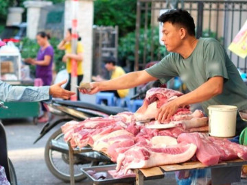 gia-heo-hoi-hom-nay-10-3-heo-manh-tai-cho-dau-moi-tiep-tuc-rot-manh