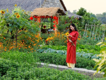 vo-chong-o-an-giang-bo-pho-ve-que-dung-khu-vuon-xanh-muot-hut-trieu-view