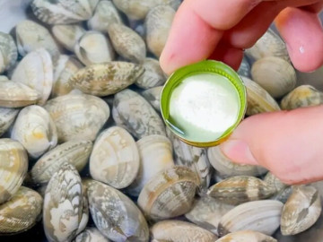 mua-ngao-ve-nhieu-cat-ngu-dan-kinh-nghiem-10-nam-mach-cho-ngao-uong-thu-nay-5-phut-la-nha-sach-tha-ho-nau-an