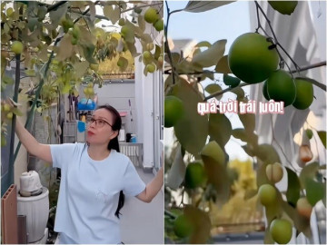 cam-ly-khoe-cay-tao-no-hoa-va-dieu-ky-la-trong-khu-vuon-o-biet-thu-trieu-do-400m2