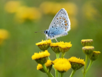 ngay-sinh-am-lich-cua-nguoi-song-khong-dua-ai-tu-minh-lam-nen-thanh-cong-ruc-ro
