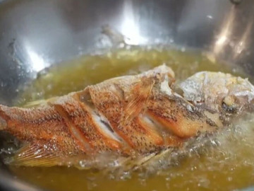 ran-ca-do-ngay-dau-vao-chao-la-sai-them-buoc-nua-ca-vang-gion-dau-khong-ban-chang-lo-bi-bong