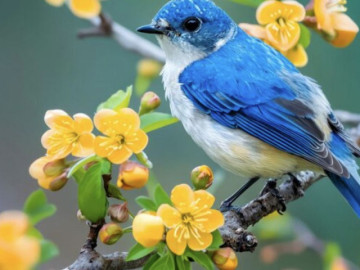 gio-sinh-am-lich-cua-nguoi-khong-the-ngheo-kiem-tien-gioi-tieu-tien-cang-khon