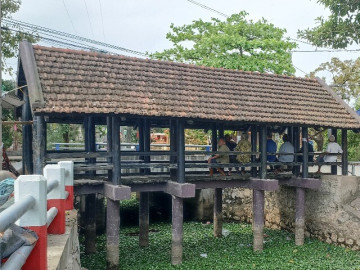 cau-ngoi-tram-tuoi-it-nguoi-biet-o-ninh-binh-nguoi-dan-coi-nhu-bau-vat