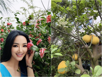 khu-vuon-triu-trit-hoa-trai-tren-ban-cong-biet-thu-cua-hoa-hau-giang-my-buoi-chanh-luc-liu-rau-an-khong-kip