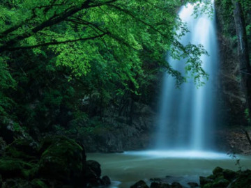 sinh-dung-gio-hoang-kim-3-con-giap-nay-huong-tron-phu-quy-de-thanh-dai-gia