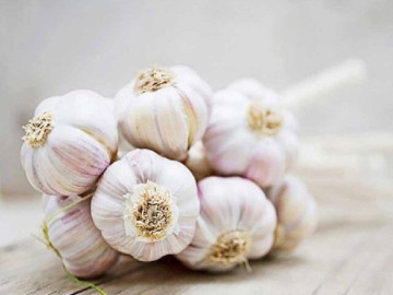 vi-tri-dat-toi-trong-nha-giup-xua-duoi-van-xui-dem-lai-tai-loc-va-binh-an